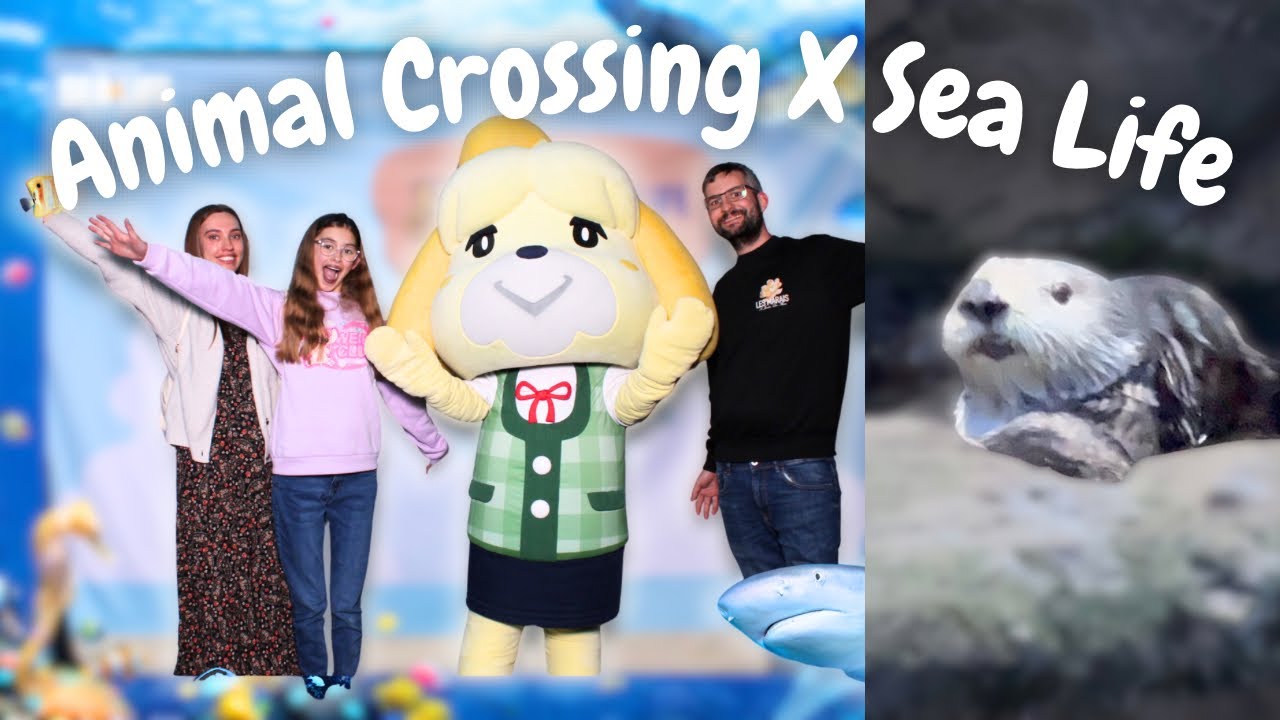 Animal Crossing IRL?! Meet Isabelle + UK’s Only Sea Otters!