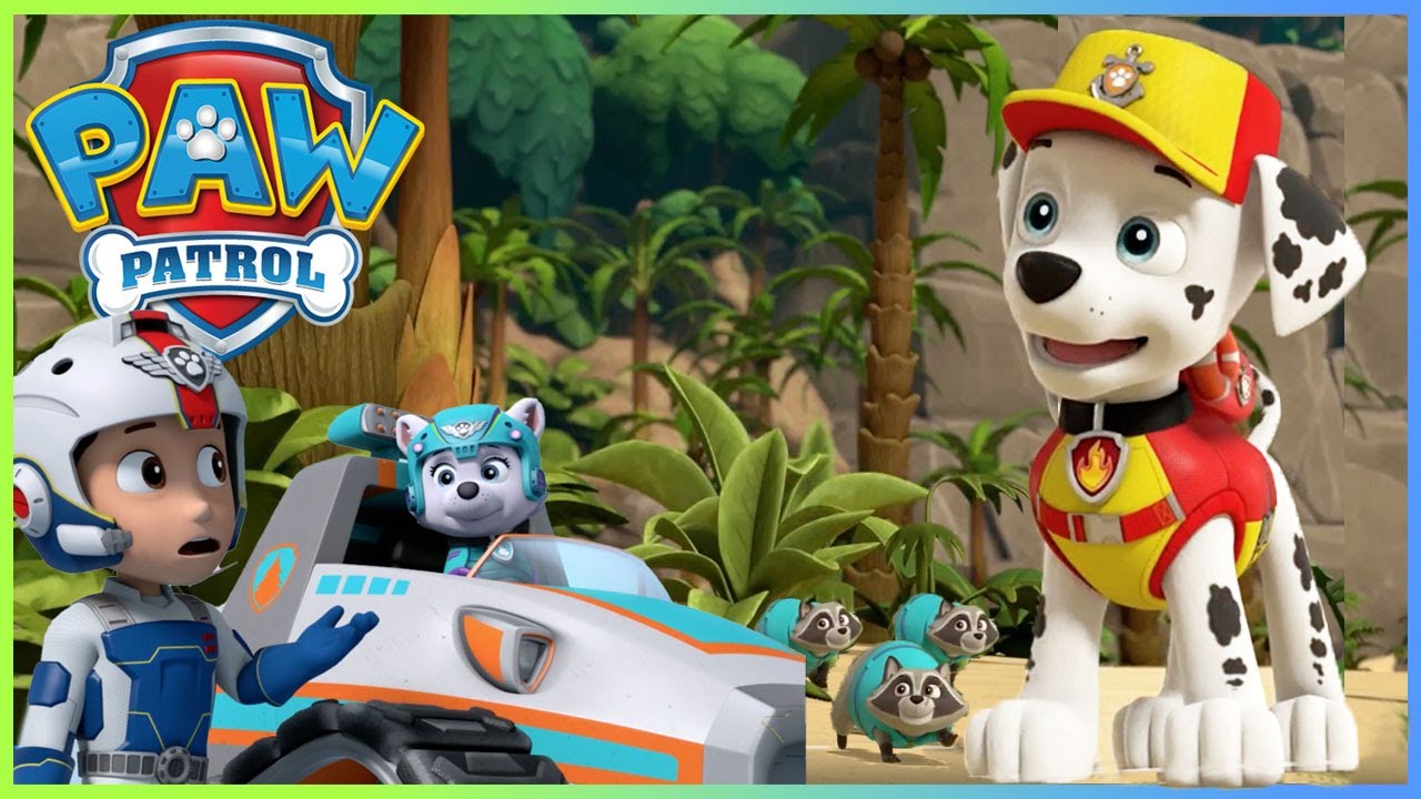 Best Sea Patrol Water Rescue Episodes! | PAW Patrol | Cartoons for Kid