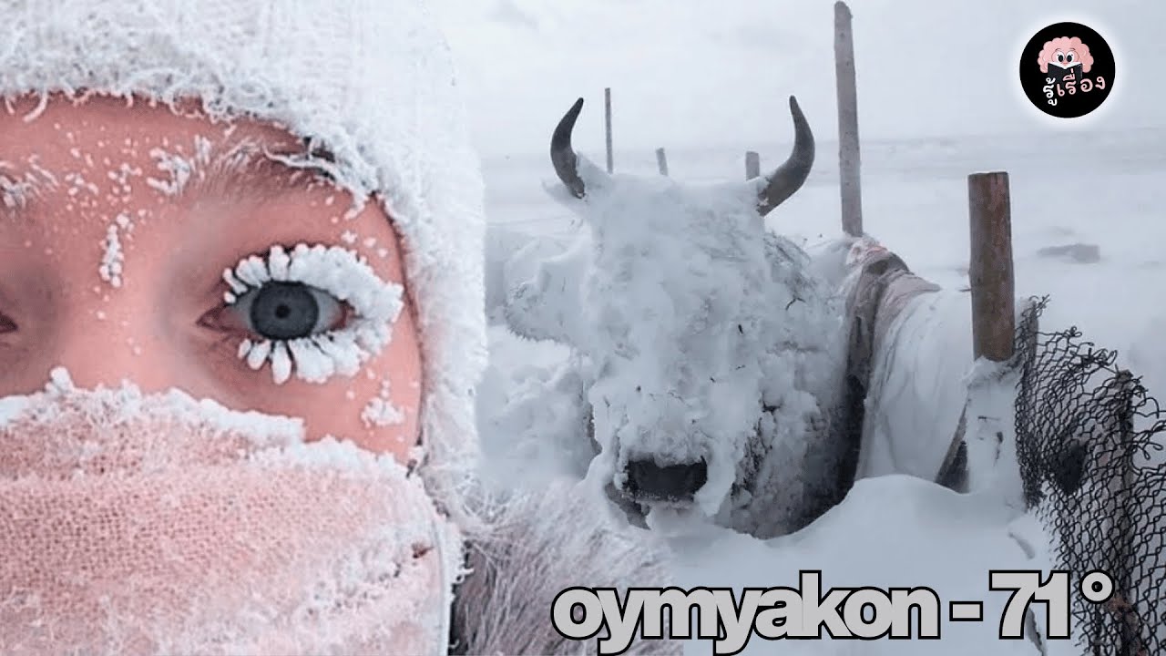 🌍 ชีวิตจริงใน &ldquo;โอยมียาคอน&rdquo; หนาว -70&deg;C ยังอยู่ได้จริงเหรอ!? 🥶
