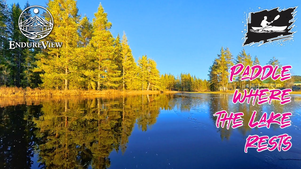 ☀️✨Steady Glide Through Open Water 🌊