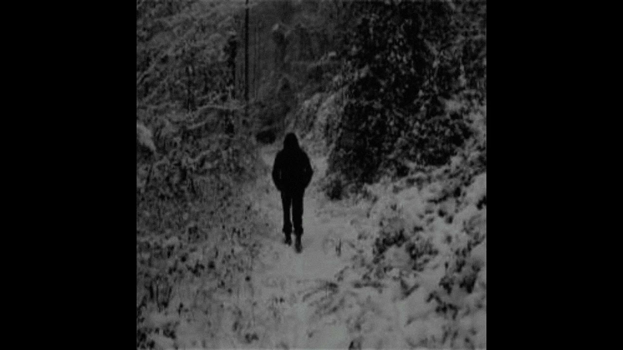 (free) alternative rock + heavy shoegaze + grunge type beat