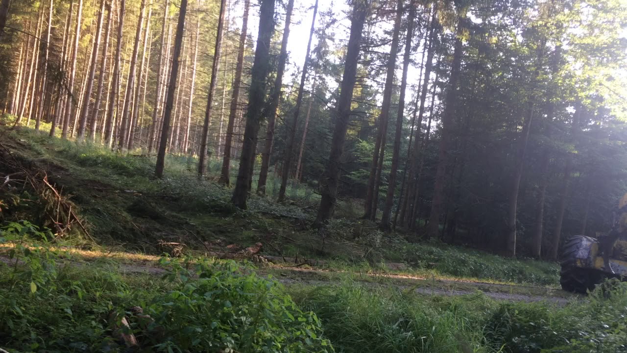 Hsm 906 kurzes Video