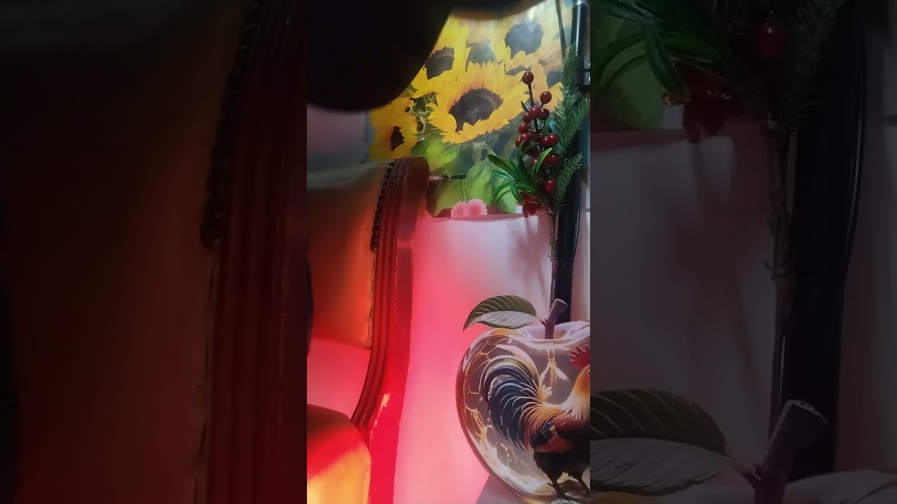 ❤️🌲ŠKORPIJA 🌲❤️neko tek sad kapira neke stvari🌲❤️