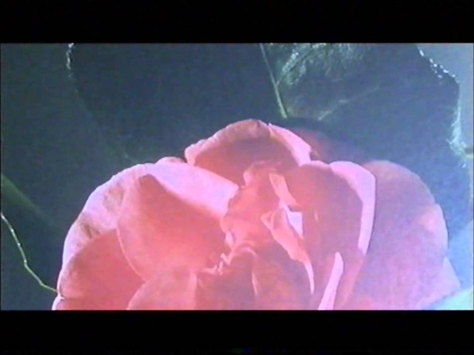 Le avventure di Bianca e Bernie-5 .wmv