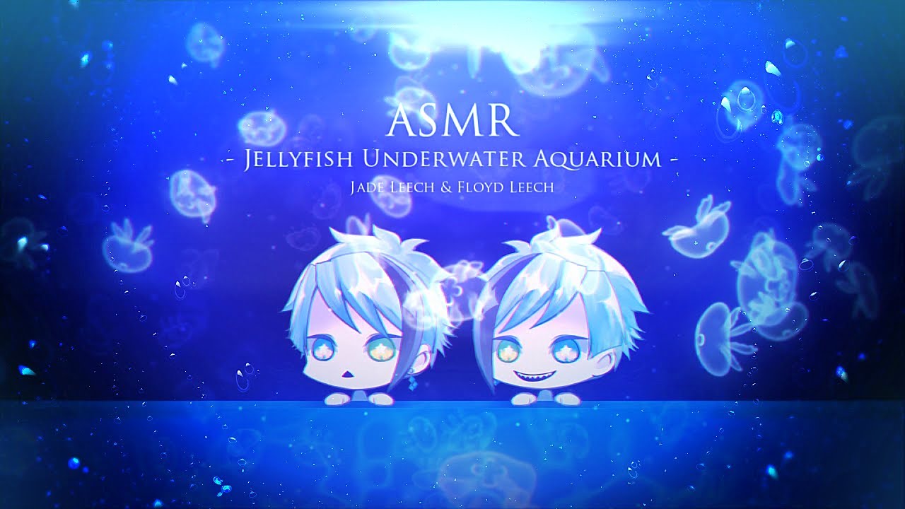 【ASMRツイステ】🌓睡眠用🌗ジェイド・フロイドとクラゲを見続ける水中音声👾 - Jellyfish Underwater Aquarium -Jade Leech & Floyd Leech