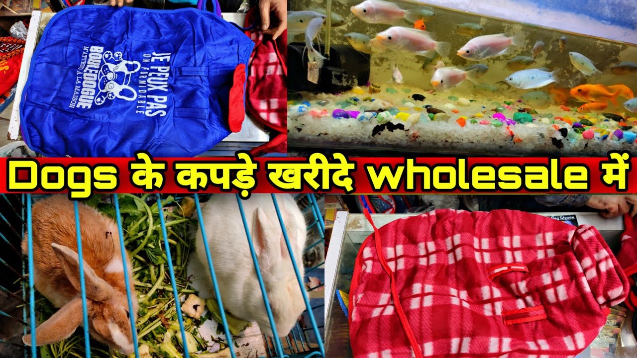 DIRECTLY FROM MANUFACTURER/WHOLESALER IN DELHI (DOGS CLOTHES, HUDDY, JACKET, ACCESSORIES