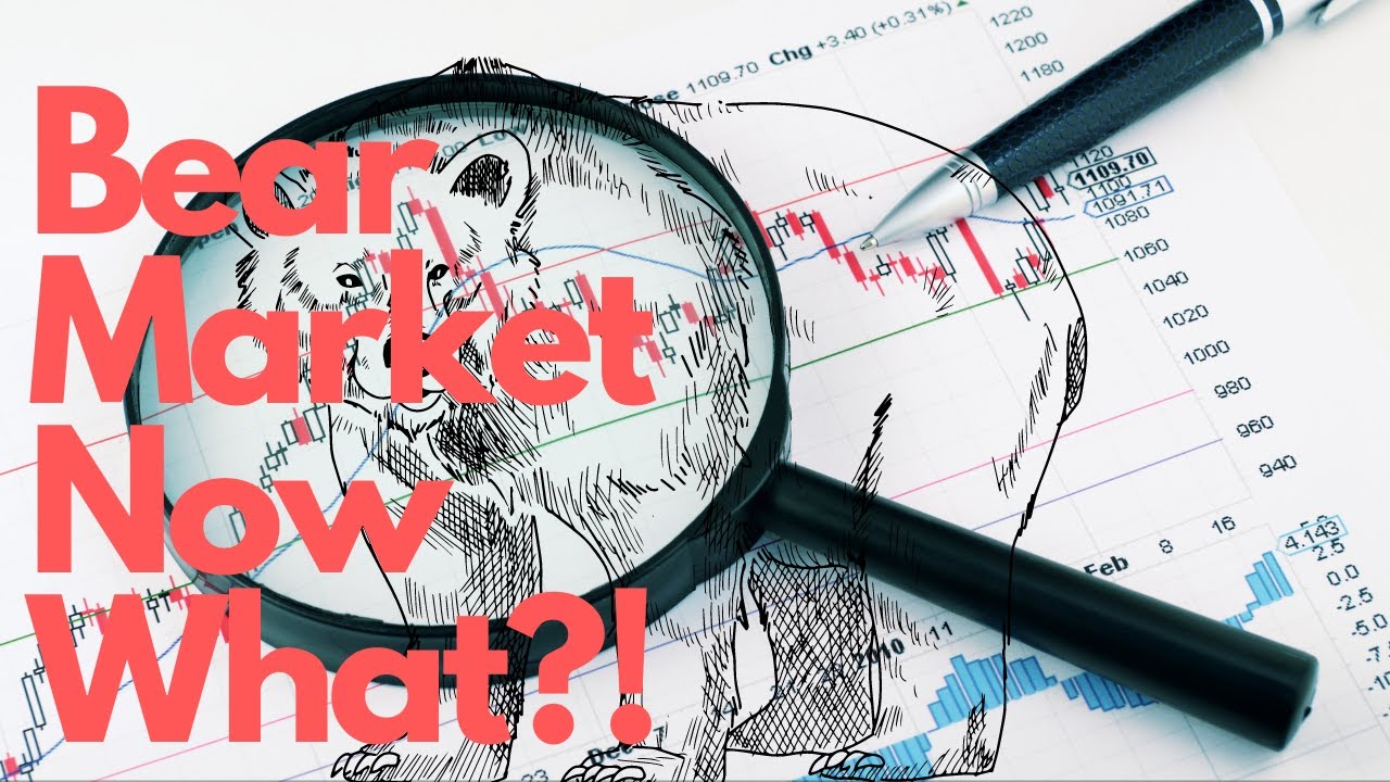 Bear Market Playbook