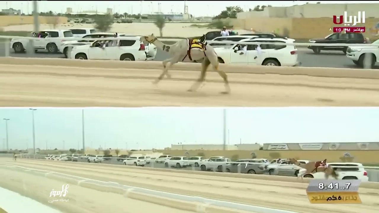 نادر الشراري _وضوح2025