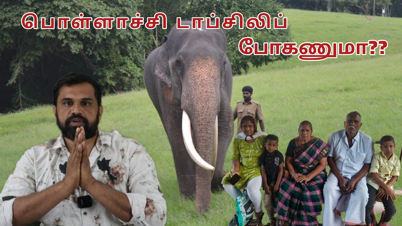 TOP SLIP POLLACHII || KHOZHIKAMUTHI ELEPHANT CAMP || ZAPPY KOOTHU 