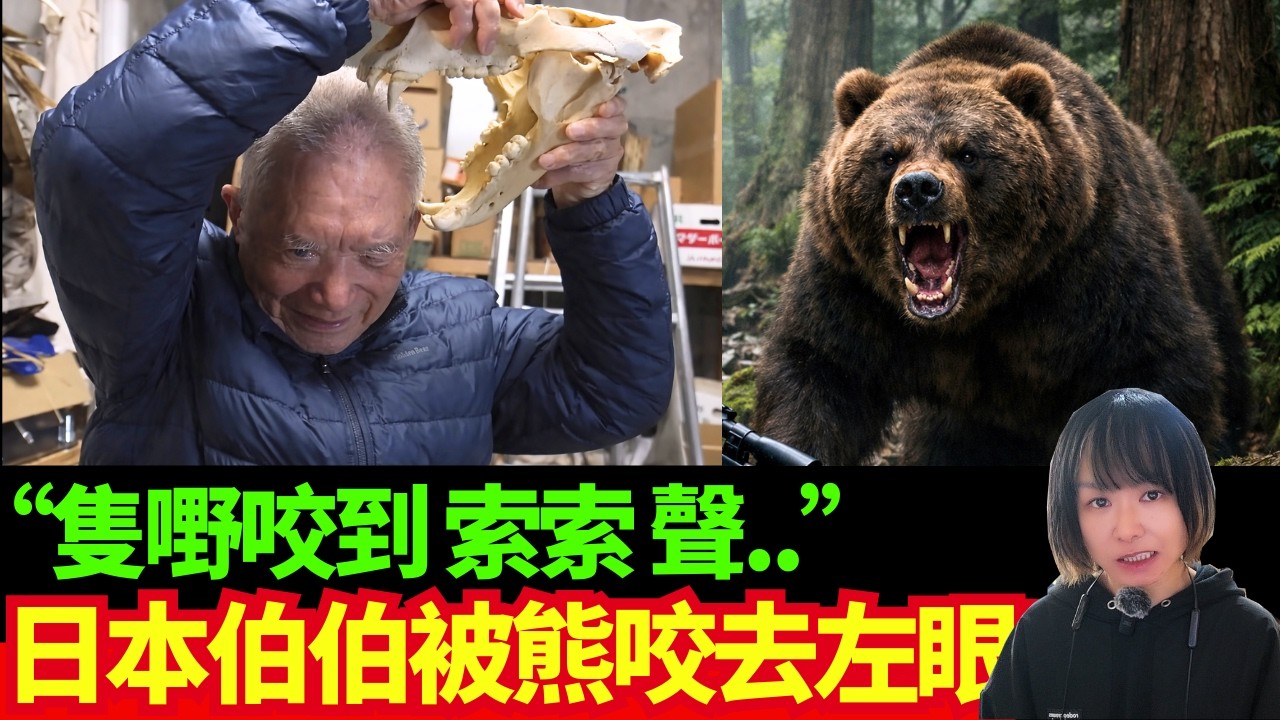 【日本熊襲資訊🚨】聽到咬緊自己嘅聲音?! 日本伯伯戰勝巨熊! 人類和熊的棲息地可以如何分開? 日本熊患問題 | 日本熊襲擊 | CC中文字幕 #熊出沒 #柴犬 #廣東話 #新聞 #突發