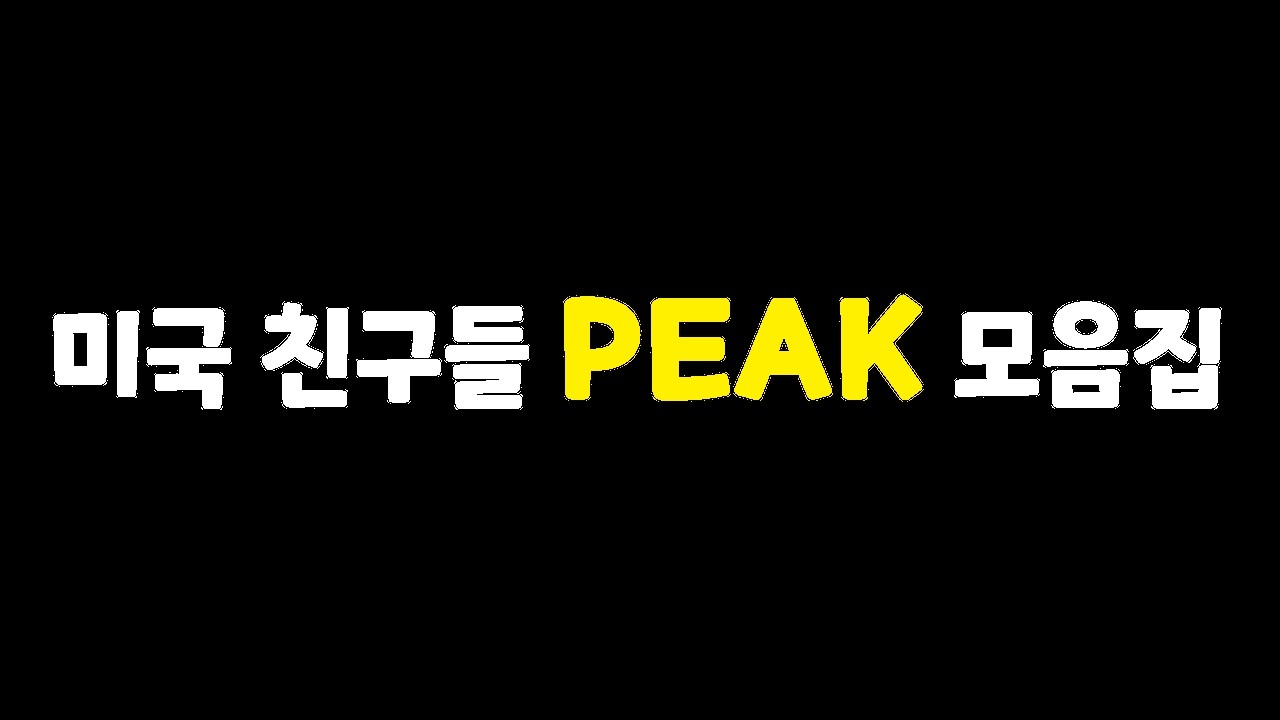 개웃긴 미국 친구들 Peak 모음집