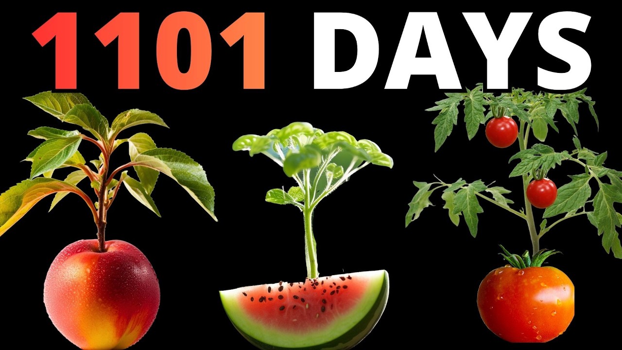 Plants Growing in Front of YOUR EYES - 1101 Days JUST 12 minutes