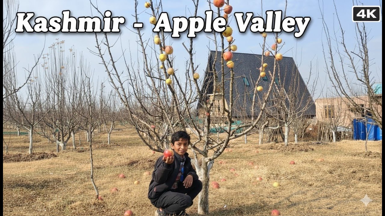 Apple Valley Kashmir 🍎 | Full Tour | Kashmir’s Hidden Paradise