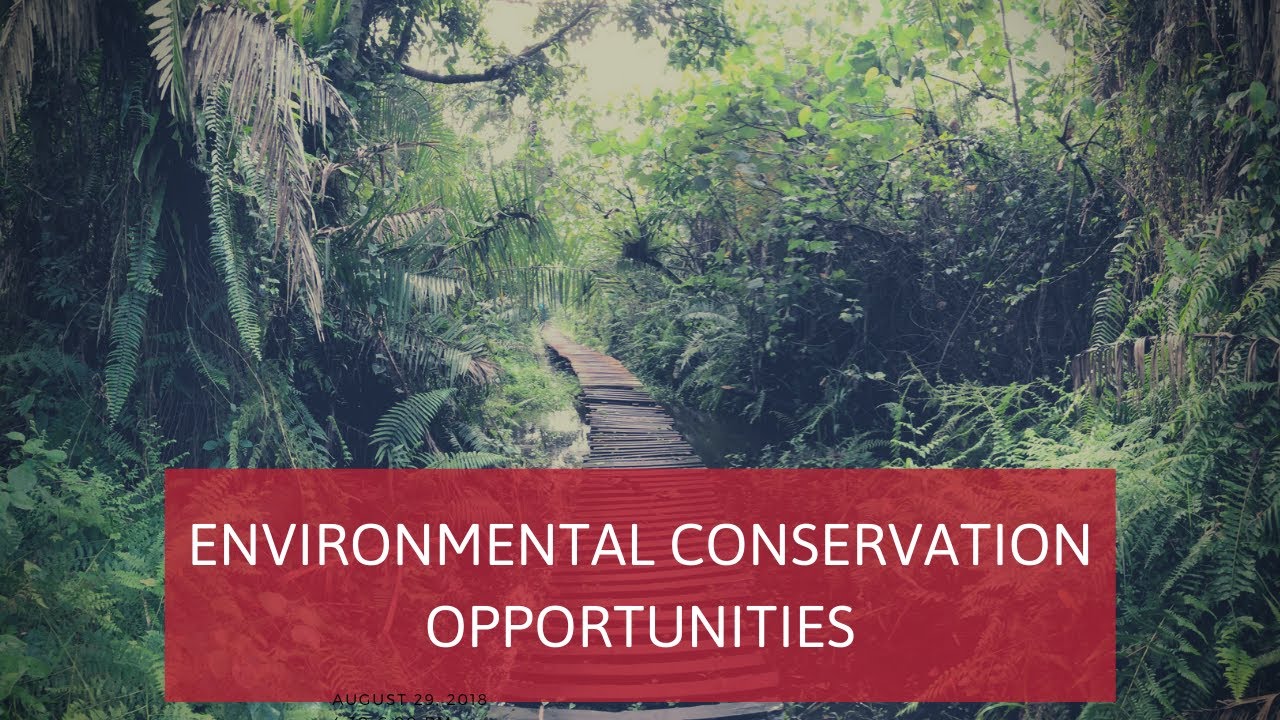Environmental Conservation Opportunities
