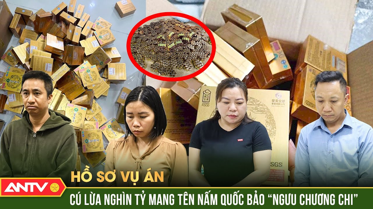 Hồ sơ vụ án: Bí mật rùng mình sau cú lừa nghìn tỷ của ông trùm người Trung Quốc | ANTV