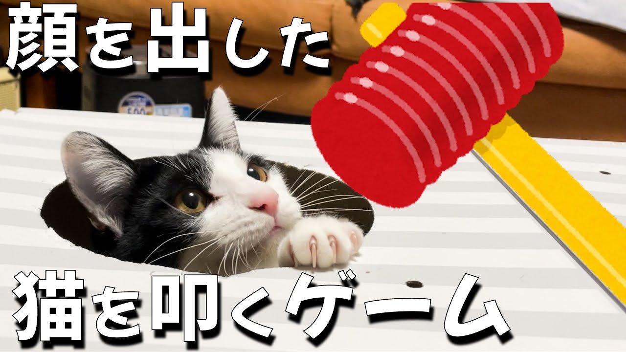 猫を叩く！ネコネコパニックで遊ぶと盛り上がる／