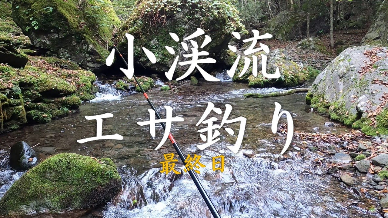 小渓流エサ釣り最終日【秋はドバミミズ】ざっこ（渓魚）の味噌煮はうまい！2023