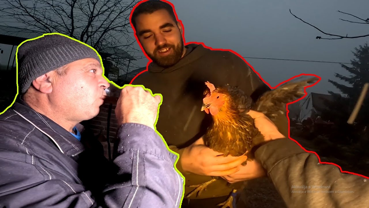 ZOLI A DISZNÓTORBA TYÚKOT KAPOTT😂🐓KÉSZÜL A KOLBÁSZ HÚS !