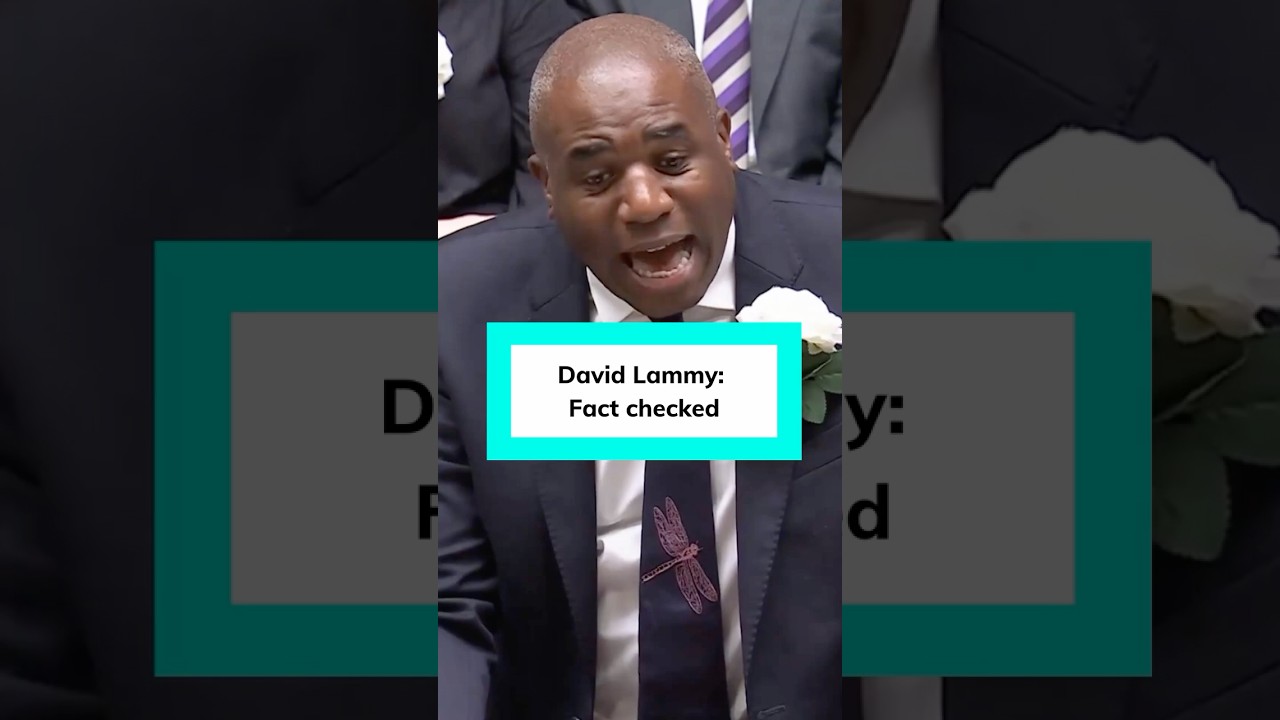 David Lammy: Fact checked