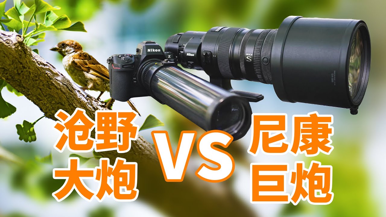 百元硬刚十万！沧野大炮500mm F6对决尼康尼克尔 Z 600mm f/4 TC VR S镜头
