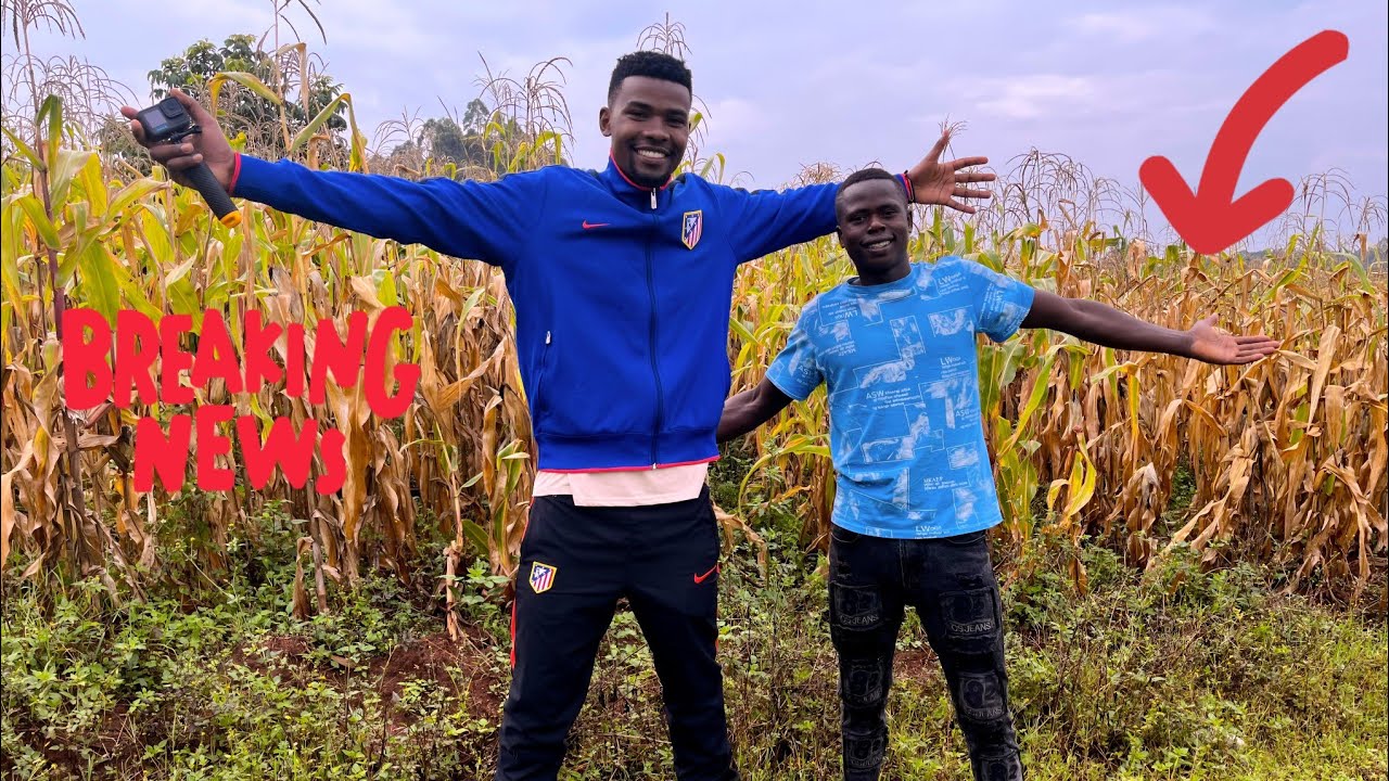 Breaking News!! I Bought a land in Kenya for Someone in Diaspora