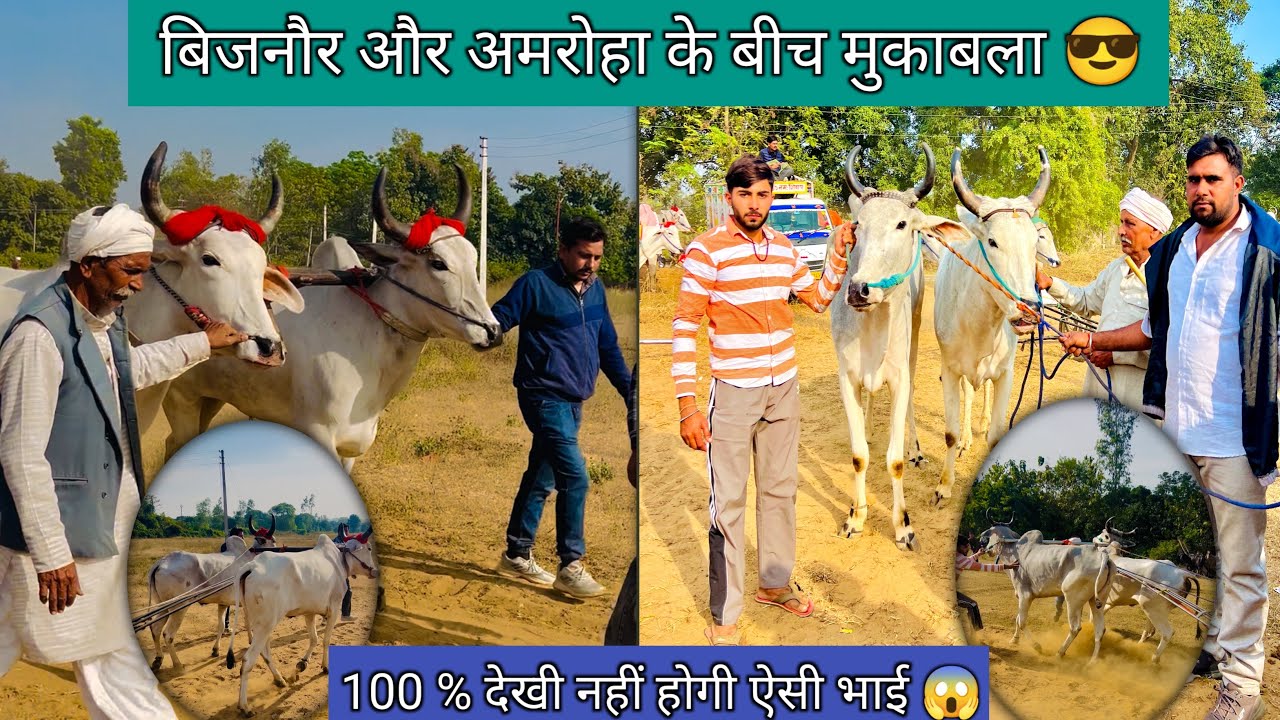 देखी नहीं होगी 100% ऐसी भाग टक्कर की दोनों जोड़ों के बीच बिजनौर और अमरोहा जिले में #up20katralover