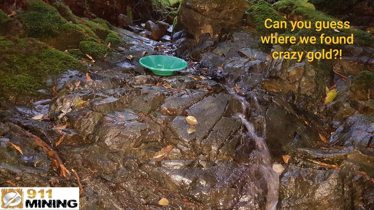 Huge Bedrock & Moss Gold At The Ultimate Placer Deposit!