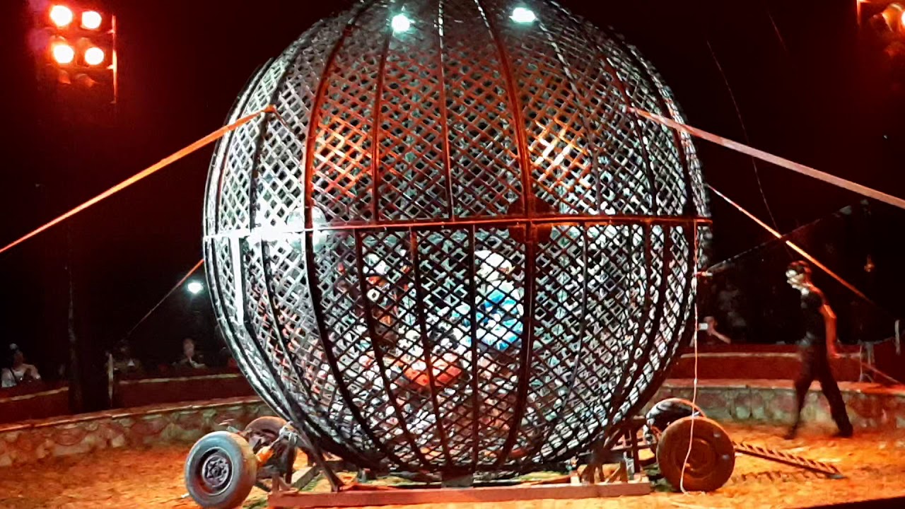 CIRCO ORFEI