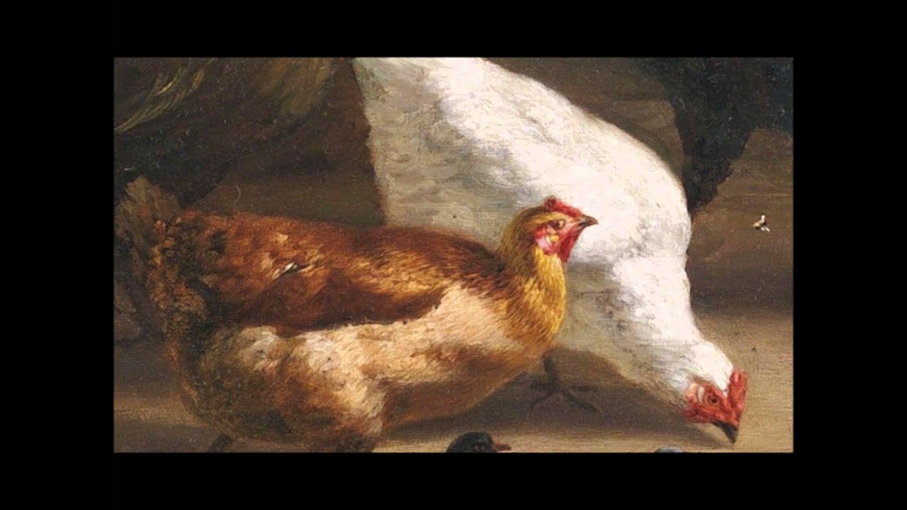 Joseph Haydn / Symphony No. 83 in G minor 