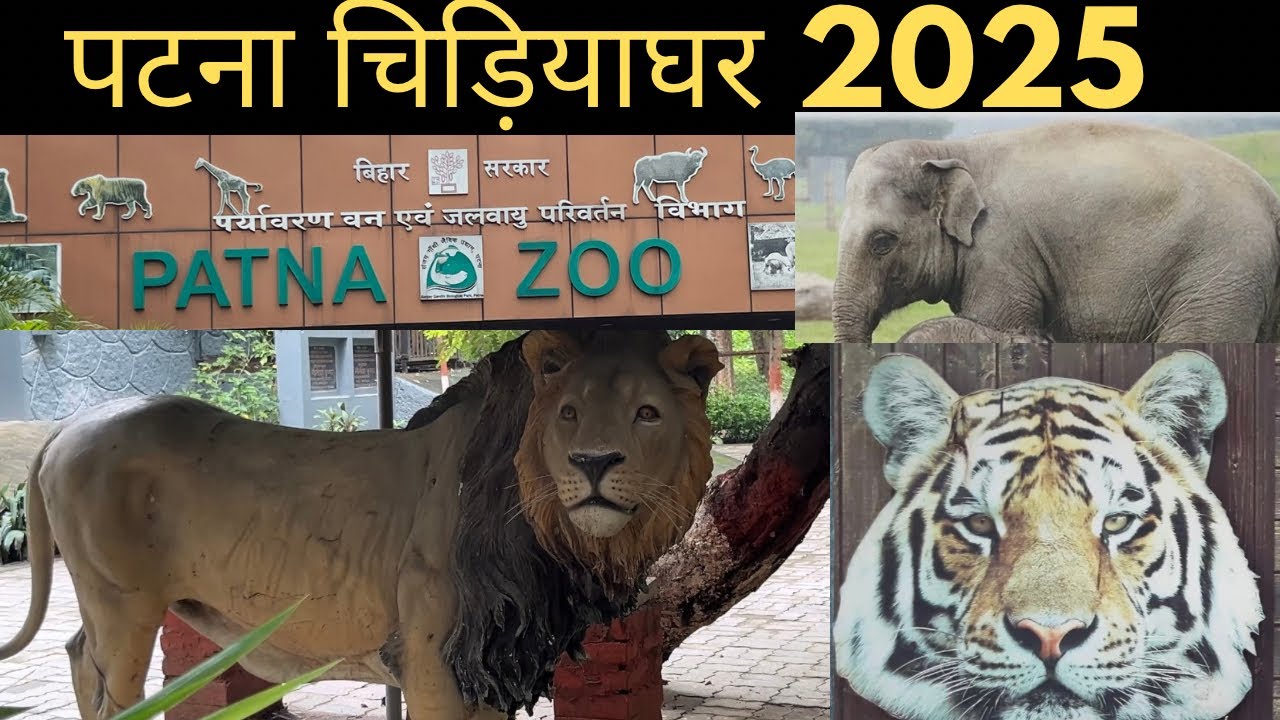 👉 पटना चिड़ियाघर 2025 | Patna Zoo Vlog | Lion 🦁 Tiger 🐯 Elephant 🐘 Bihar Tourism