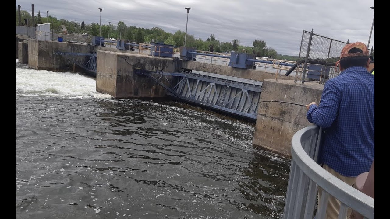 Shore Fishing Around Toronto 1 Hastings 多伦多周边岸钓（一）Hastings