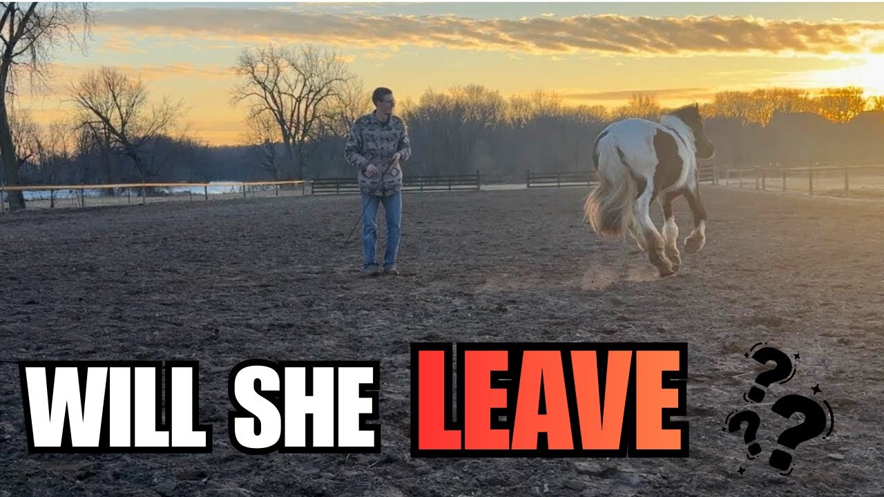 First Time at Liberty in the Outdoor Arena... I Wasn't Sure What She'd Do