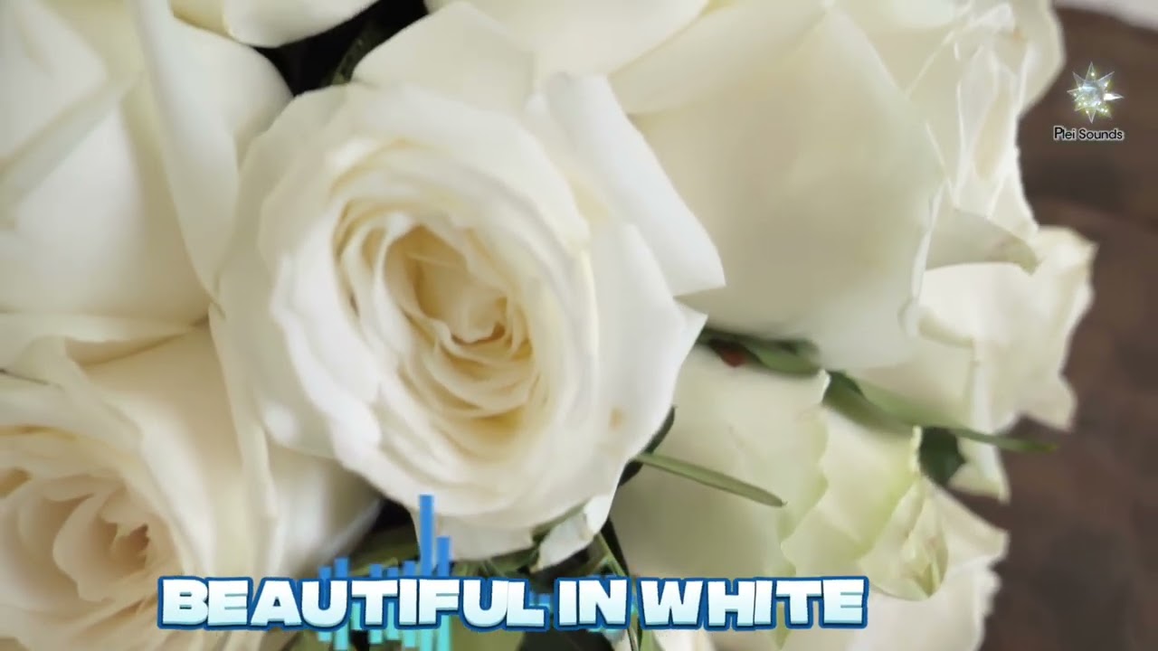 Beautiful In White (Lời Việt: Xuân Hùng) Vietnamese Version-  Plei Sounds