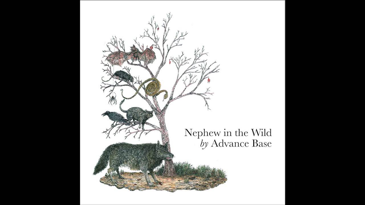 Advance Base - Kitty Winn