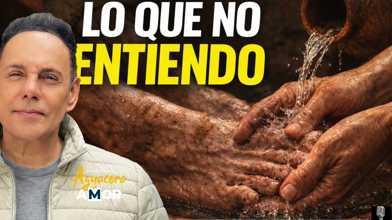 ALGÚN DIA TENDRÁ SENTIDO