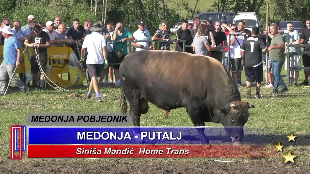 MEDONJA SINIŠE MANDIĆA I PUTALJ HOMETRANS, LISKOVICA 2024 KOD DUMANA