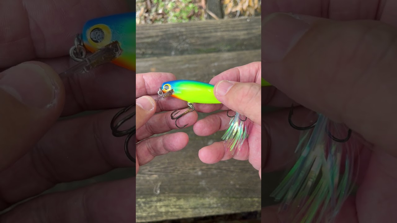 Sam Griffin Katie Bait 10 08 2024 