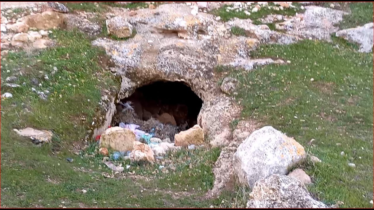 هل تبحث عن خبير اسياخ ؟؟ كن انت الخبير .. الجزء الثاني من (كيف تصبح خبيرا في الاسياخ النحاسيه) شاهد