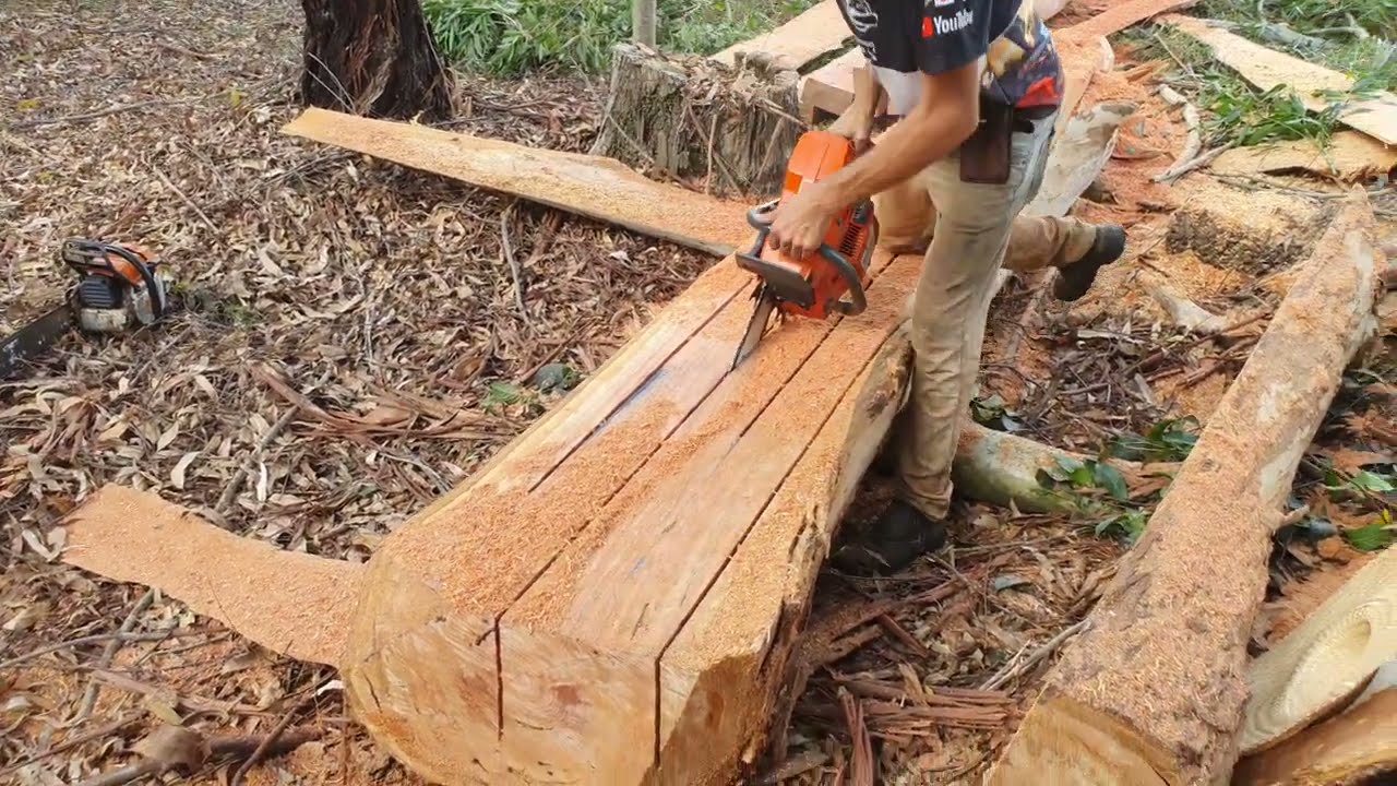 Motosserra 395xp husqvarna desdobrando Madeira para fazer réguas