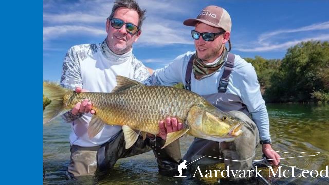 Kalahari Largemouth Yellowfish