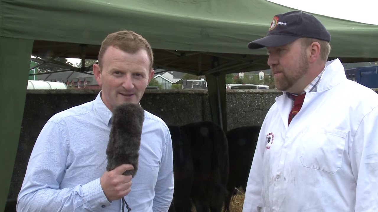 Clonakilty Agricultural Show 2019 Review - Horses Cattle Dogs Sheep