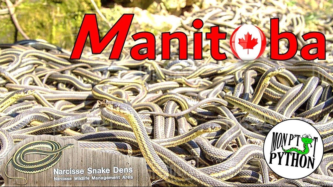 MANITOBA: le 