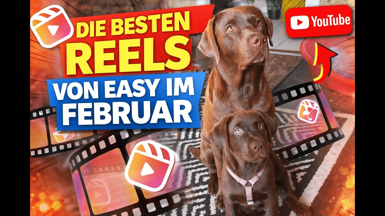 Chocolab EASY - ALLE REELS aus dem Februar 2026