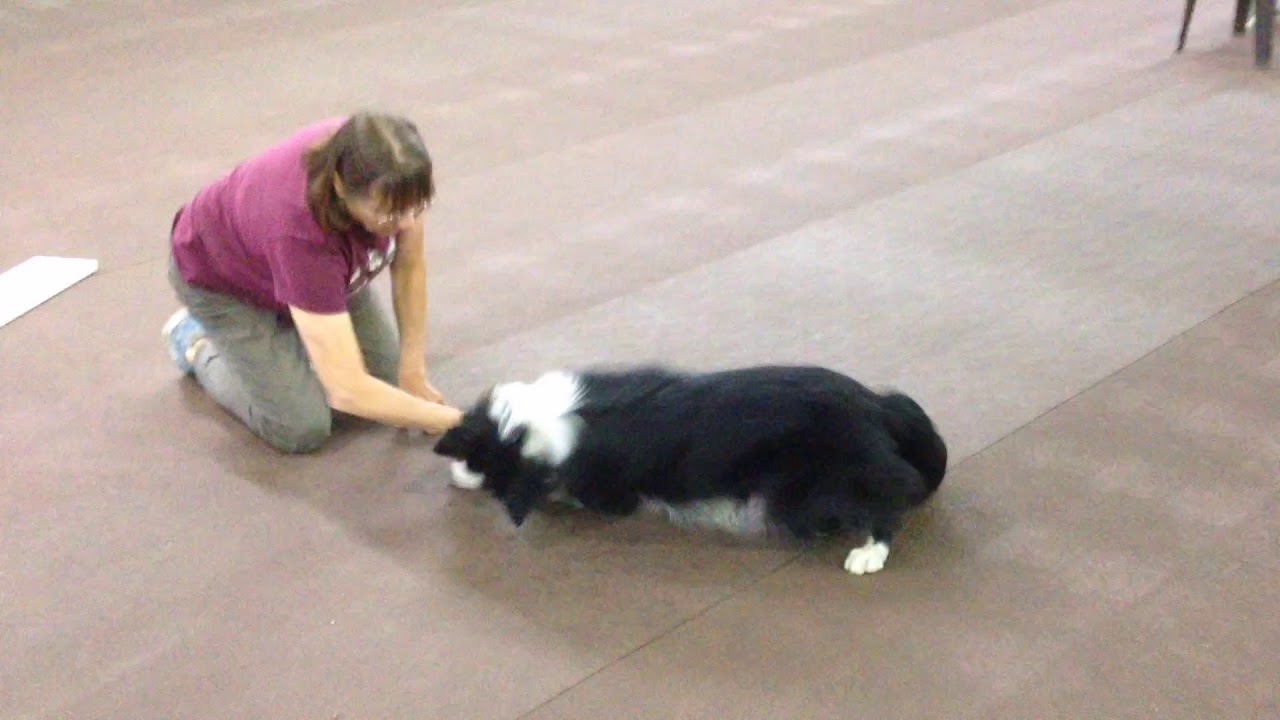 Tricks Class at IPOC