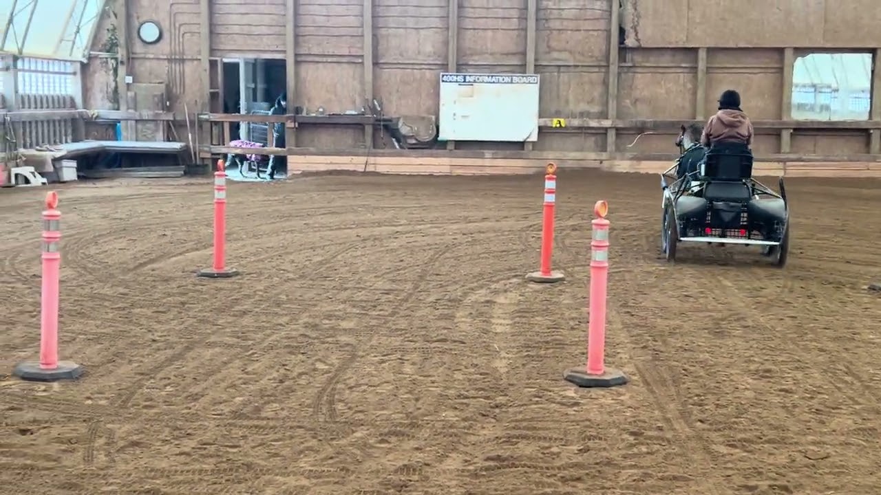 Novice driver learning to use outside rein 