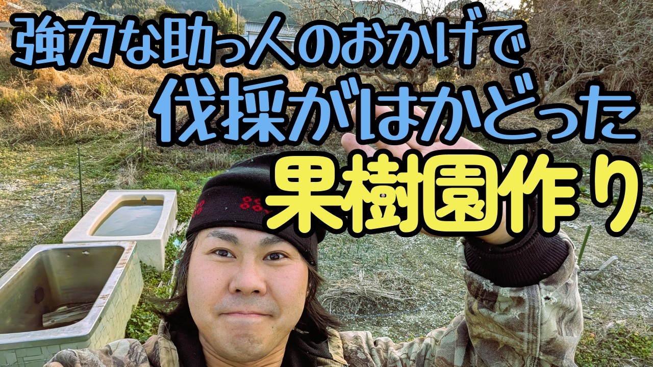 ［助っ人の回］［荒廃果樹園の再生］伐採の終わりが見えてきた
