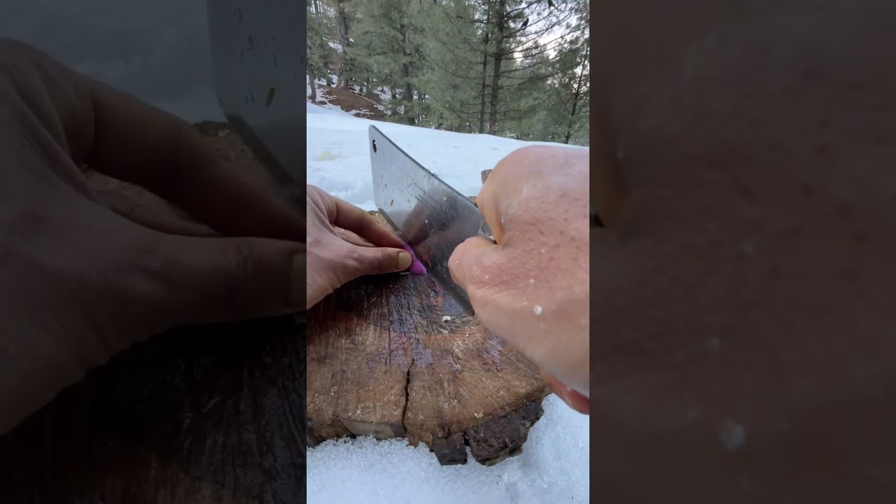 Liver barbecued in forest 🌳 |Snowy Mountains 🏔️ |Cooking In Nature |