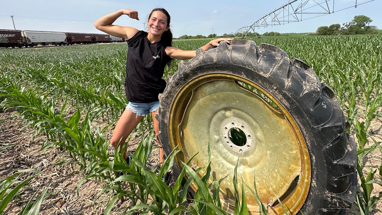 Pivot Irrigator vs. Drip Irrigation