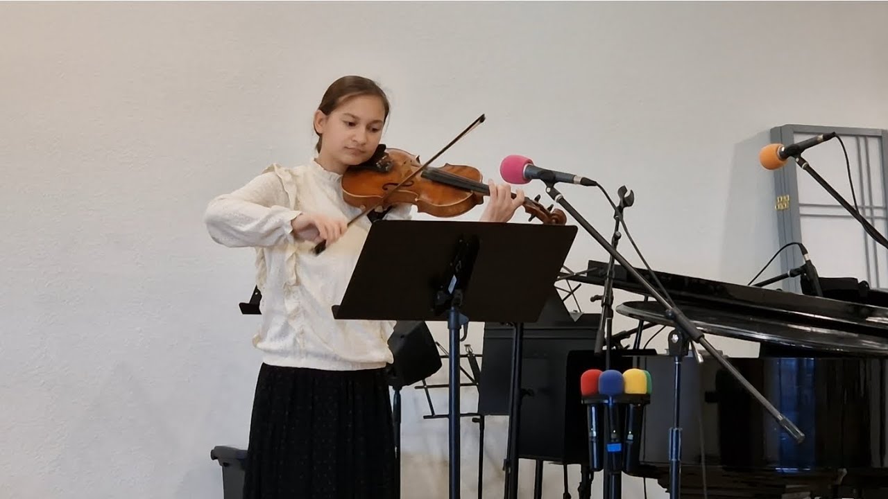 #Соло скрипка#Мой дом в стране небесной#Суламита Смирнова#2026#