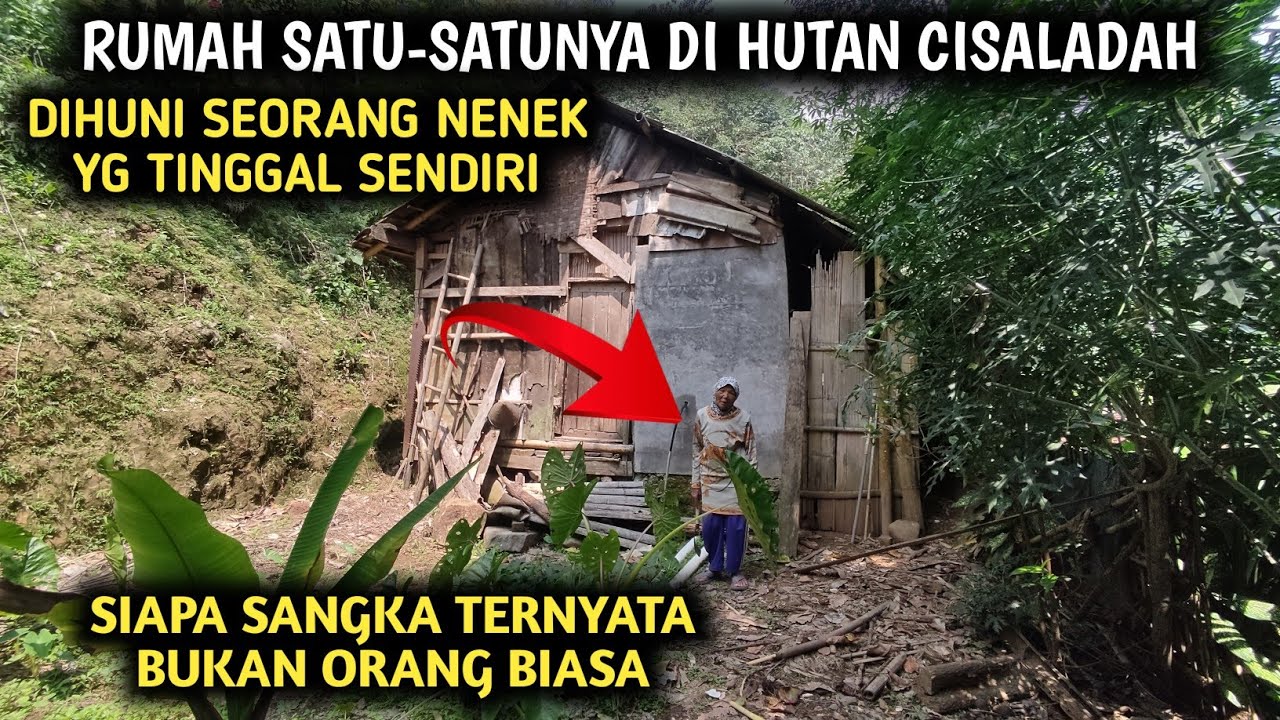 SIAPA SANGKA‼️SEORANG NENEK TINGGAL SEORANG DIRI DITENGAH HUTAN, TERNYATA BUKAN NENEK BIASA